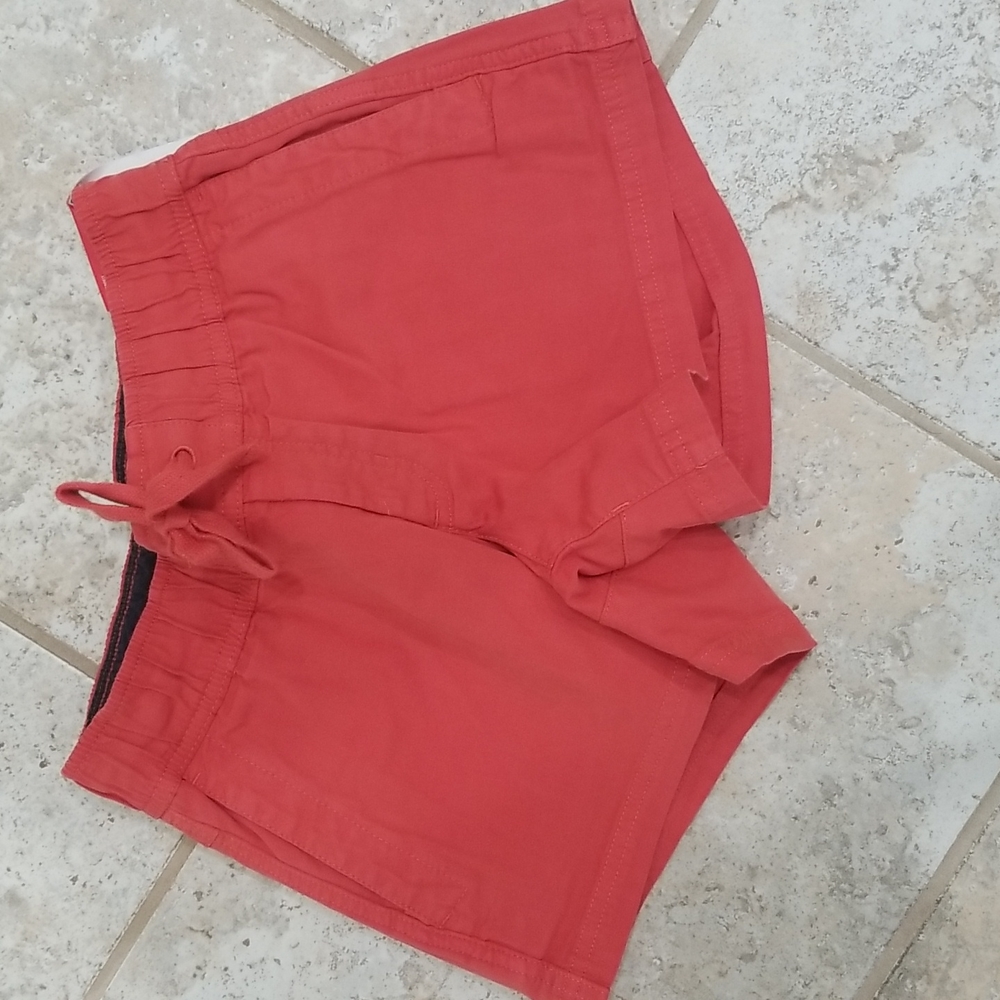 The north face shorts